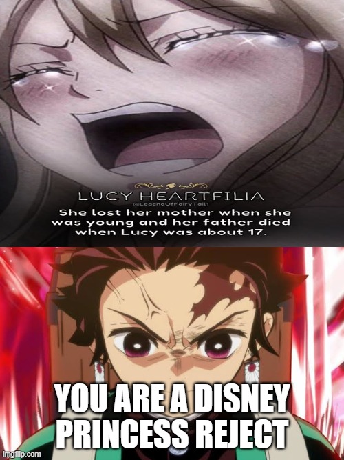 tanjiro hates lucy from fairy tail | you are a disney princess reject | image tagged in tanjiro hates what,lucy,fairy tail,anime,demon slayer,disney princesses | made w/ Imgflip meme maker