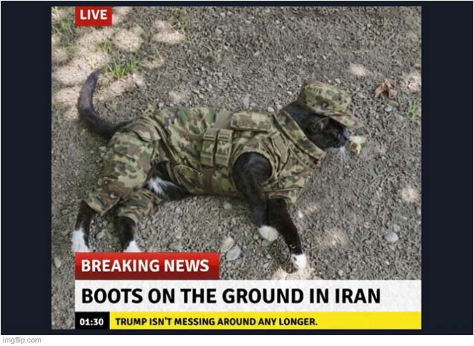 Has Anyone Seen 'Boots' ? | image tagged in trump,iran,boots | made w/ Imgflip meme maker