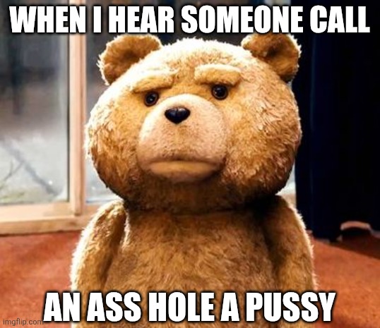 BEING ABLE TO FUCK IT DOESN'T CHANGE THE FACT THAT IT'S STILL A FUDGE SHOOTER | WHEN I HEAR SOMEONE CALL; AN ASS HOLE A PUSSY | image tagged in memes,ted,fudge,asshole,pussy,porn | made w/ Imgflip meme maker