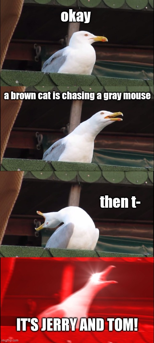 Inhaling Seagull | okay; a brown cat is chasing a gray mouse; then t-; IT'S JERRY AND TOM! | image tagged in memes,inhaling seagull | made w/ Imgflip meme maker