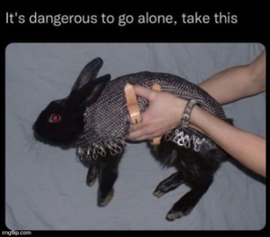It’s dangerous to go alone | image tagged in it s dangerous to go alone | made w/ Imgflip meme maker