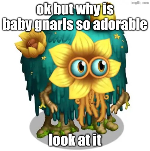 it is my first quint on dof | ok but why is baby gnarls so adorable; look at it | image tagged in cute,msm,my singing monsters,gnarls,aaaaaaaaaaaaaaaaaaaaaaaaaaa | made w/ Imgflip meme maker