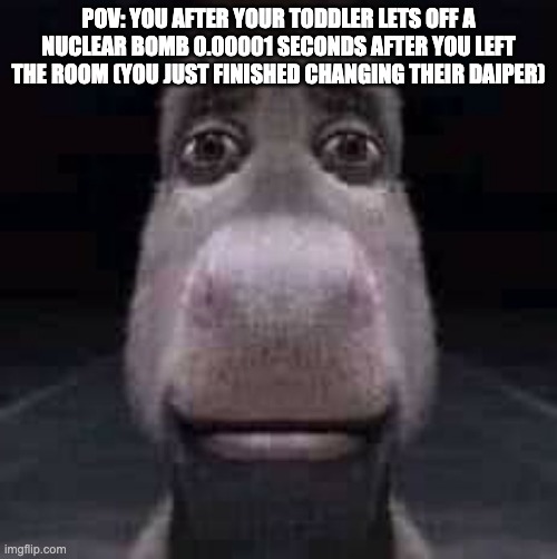 I'm cooked | POV: you after your toddler lets off a nuclear bomb 0.00001 seconds after you left the room (you just finished changing their daiper) | image tagged in donkey staring | made w/ Imgflip meme maker