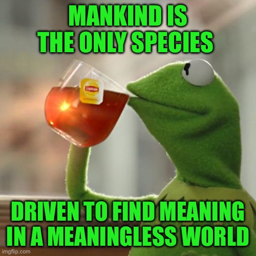 But That's None Of My Business Meme | Mankind is the only species; Driven to find meaning in a meaningless world | image tagged in memes,but that's none of my business,kermit the frog | made w/ Imgflip meme maker