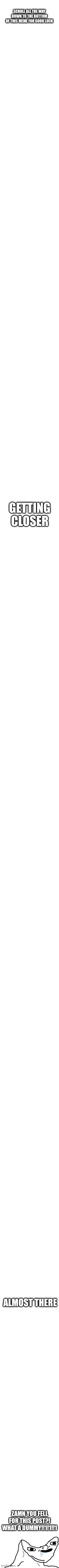 Hahaha! So funny, right guys? Right?? | Scroll all the way down to the bottom of this meme for good luck; Getting closer; Almost there; ZAMN YOU FELL FOR THIS POST?! WHAT A DUMMY!!1!1!!1 | image tagged in long blank white template,very long blank meme template,dumb wojak | made w/ Imgflip meme maker