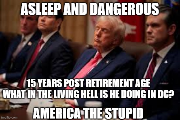 Trump Sleeping | asleep and dangerous; 15 years post retirement age
What in the living hell is he doing in dc? america the stupid | image tagged in trump,donald trump,america,republicans,conservatives | made w/ Imgflip meme maker