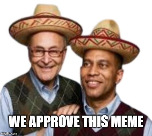 We approve this meme | made w/ Imgflip meme maker