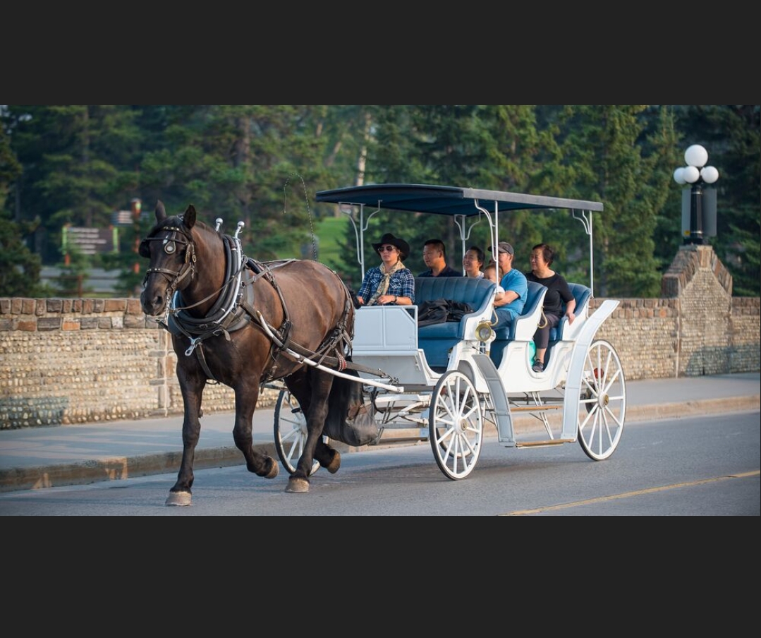 Horse drawn Uber Blank Meme Template