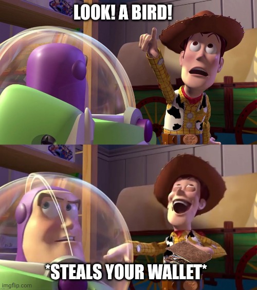 Toy Story funny scene | Look! A bird! *steals your wallet* | image tagged in toy story funny scene | made w/ Imgflip meme maker