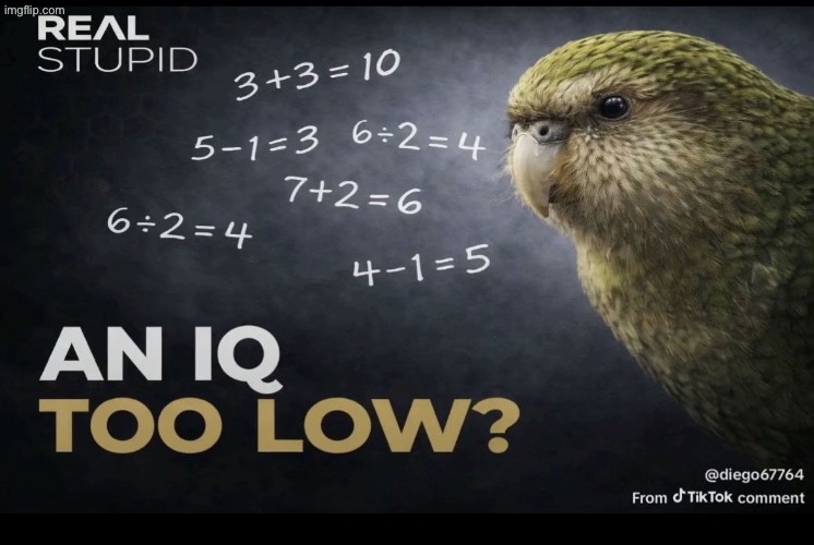An IQ too low | image tagged in an iq too low | made w/ Imgflip meme maker