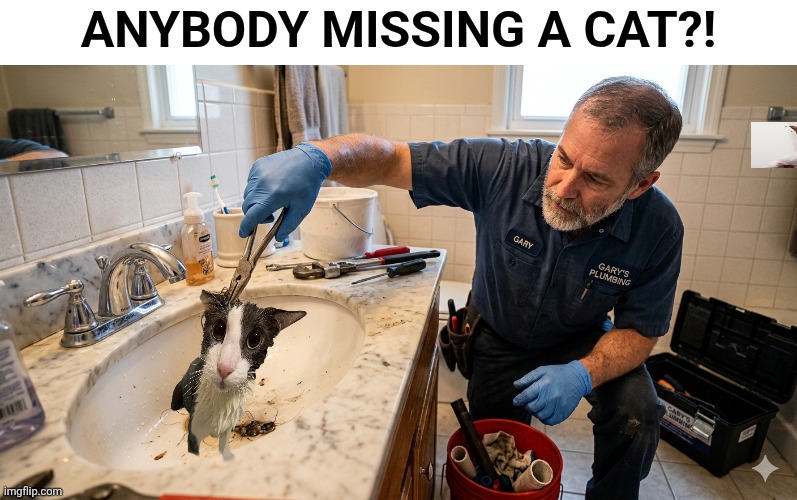 Why plumbers are expensive: | Anybody missing a cat?! | image tagged in cat,plumber | made w/ Imgflip meme maker