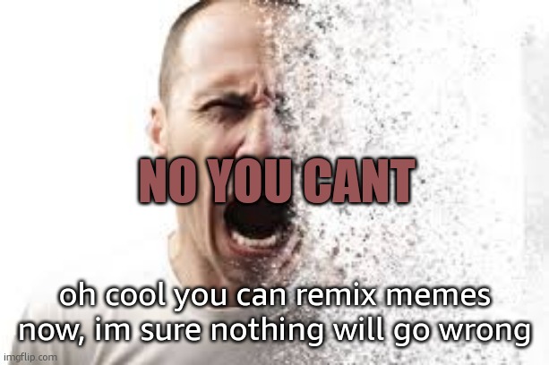 disintegrate | no you cant; oh cool you can remix memes now, im sure nothing will go wrong | image tagged in disintegrate | made w/ Imgflip meme maker