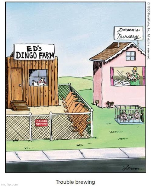 That’s not good… | image tagged in the far side,comics,nursery,dingos,bad news,trouble brewing | made w/ Imgflip meme maker