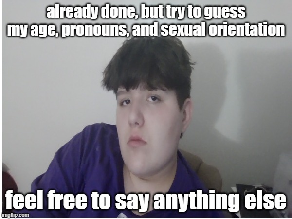 already done, but try to guess my age, pronouns, and sexual orientation; feel free to say anything else | made w/ Imgflip meme maker