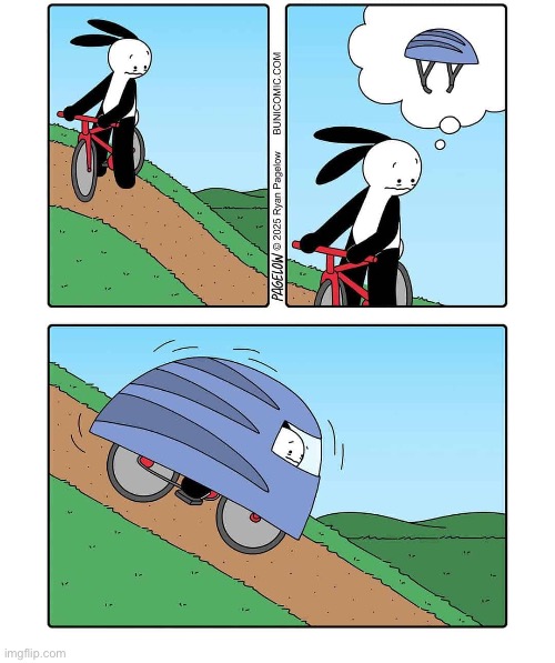 Buni Comics | image tagged in comics,buni comics,bicycle,steep hill,helmet,protection | made w/ Imgflip meme maker