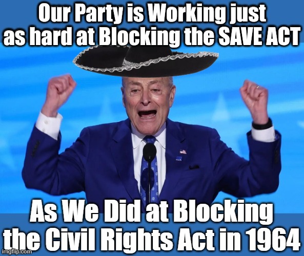 Cuck Scummer says Demorhhoids are working hard | Our Party is Working just as hard at Blocking the SAVE ACT | image tagged in chuck schumer,flying | made w/ Imgflip meme maker