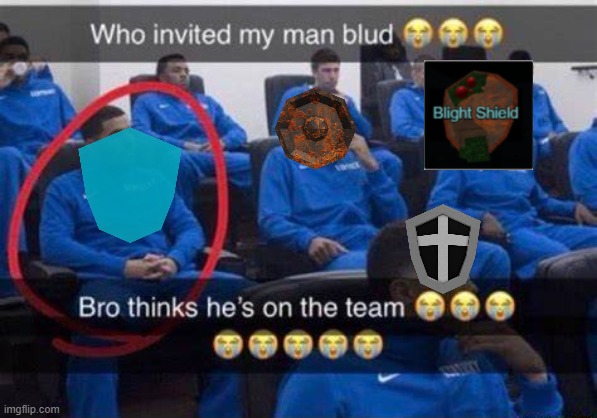 Pilgrammed shields | image tagged in bro thinks he's on the team | made w/ Imgflip meme maker