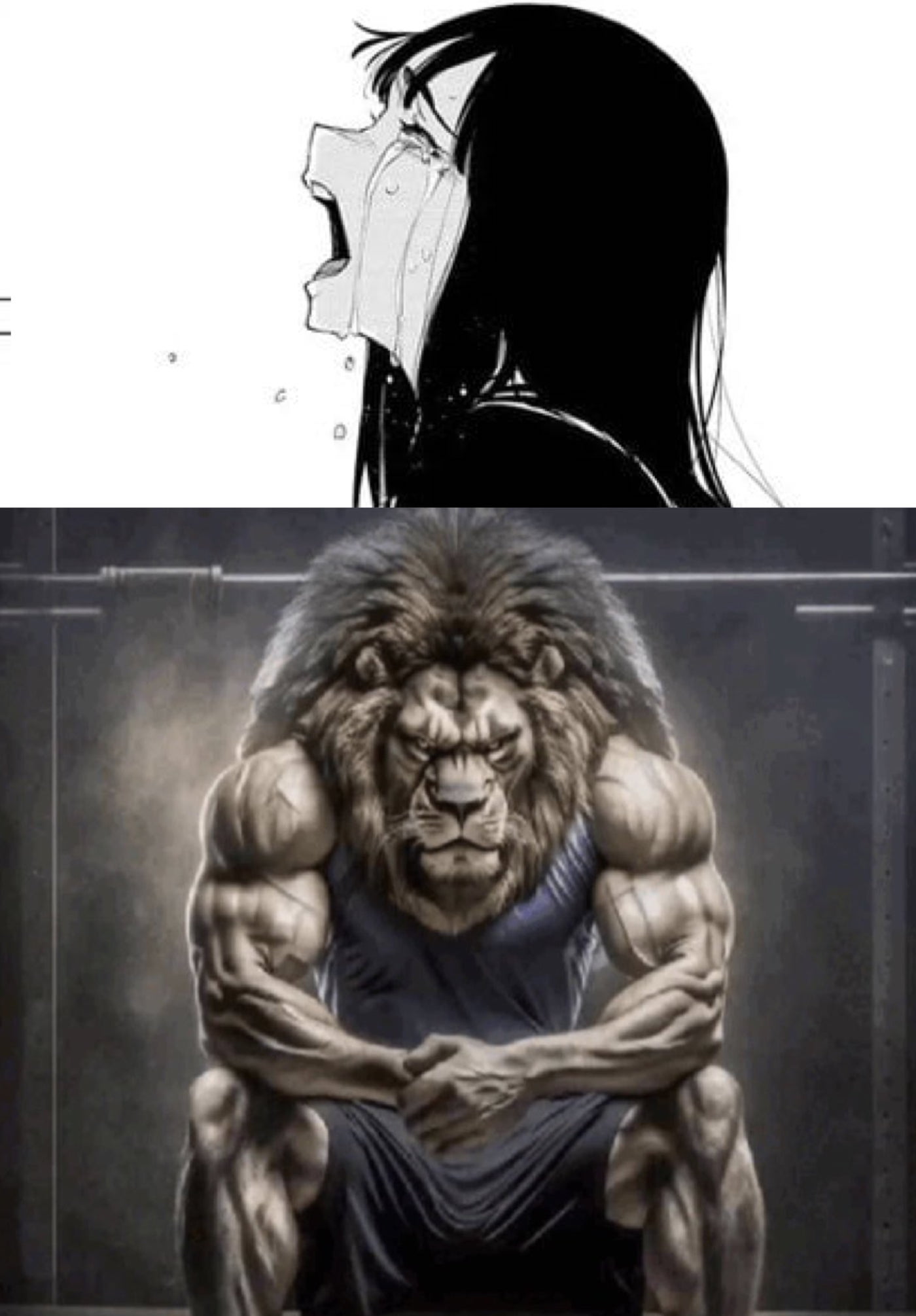 Girl Crying and Buff Lion Blank Meme Template