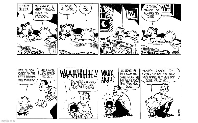 image tagged in calvin and hobbes,comics | made w/ Imgflip meme maker