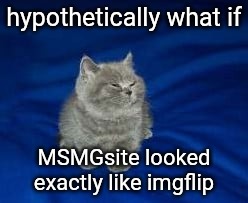yeah | hypothetically what if; MSMGsite looked exactly like imgflip | image tagged in this cat is wrong for laughing | made w/ Imgflip meme maker