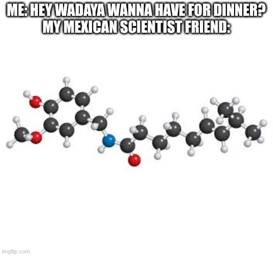 And Scientists Here? | me: hey wadaya wanna have for dinner?
my Mexican scientist friend: | image tagged in science,memes,funny,true | made w/ Imgflip meme maker