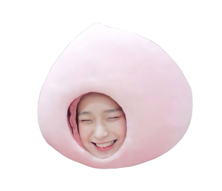 High Quality Nikimurarishi template Blank Meme Template