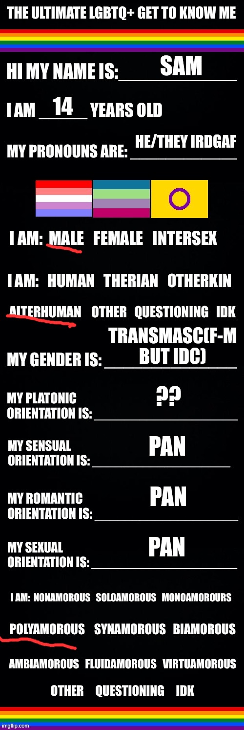 I prefer my pronouns as he/they but I don't care what people call me because I don't want to shove it down peoples throats | sam; 14; he/they irdgaf; transmasc(f-m but idc); ?? pan; pan; pan | image tagged in the ultimate lgbtq get to know me | made w/ Imgflip meme maker