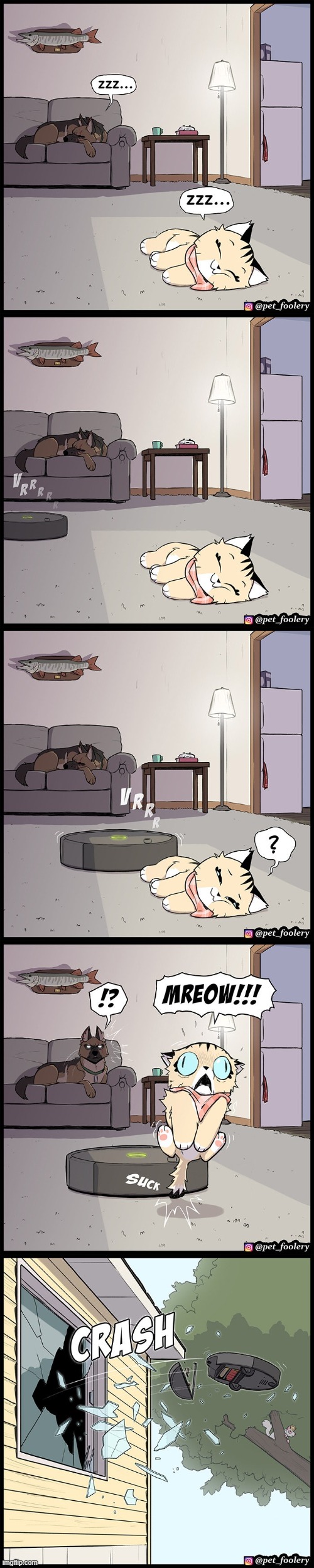 image tagged in dog,cat,sleeping,roomba,window,crash | made w/ Imgflip meme maker