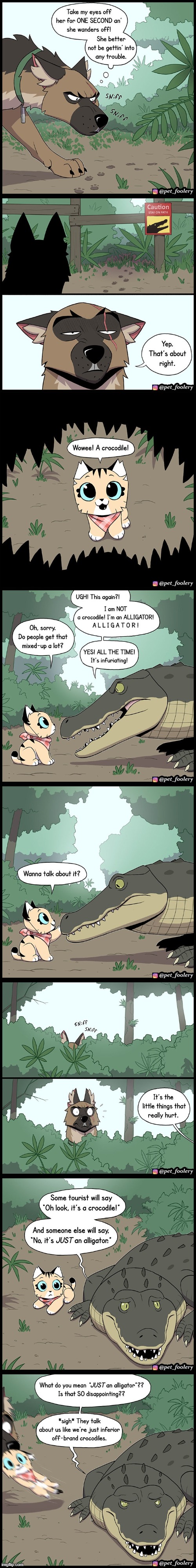 image tagged in dog,cat,crocodile,alligator,talking,aww | made w/ Imgflip meme maker