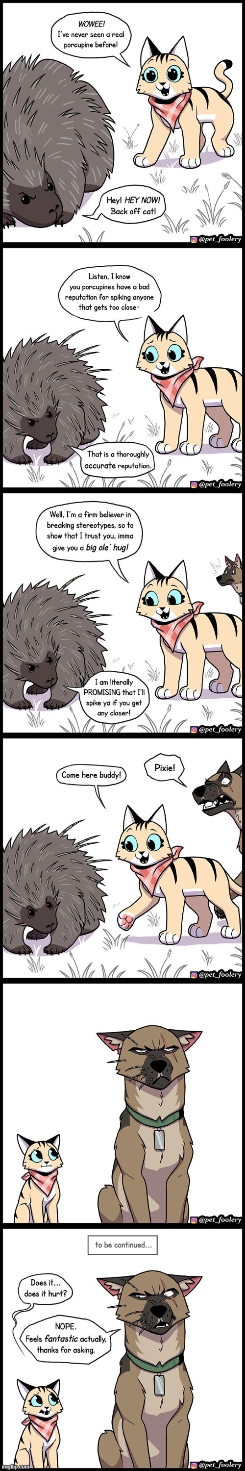 image tagged in cat,dog,porcupine,hug,spikes,ouch | made w/ Imgflip meme maker