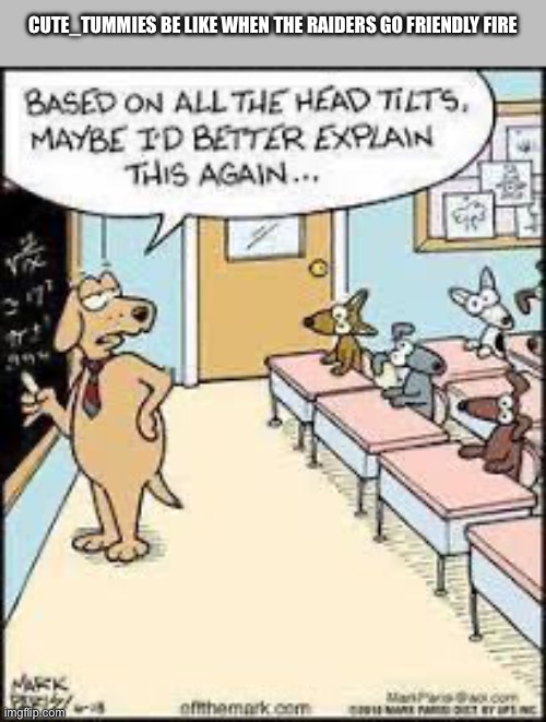 We gonna raid again…. | Cute_Tummies be like When the raiders go friendly fire | image tagged in head tilt | made w/ Imgflip meme maker