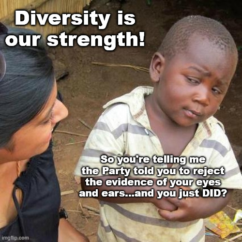 Let's check in on the UK...I mean Canada...I mean France...I mean Germany...I mean Sweden... | Diversity is our strength! So you're telling me the Party told you to reject the evidence of your eyes and ears...and you just DID? | image tagged in memes,third world skeptical kid | made w/ Imgflip meme maker