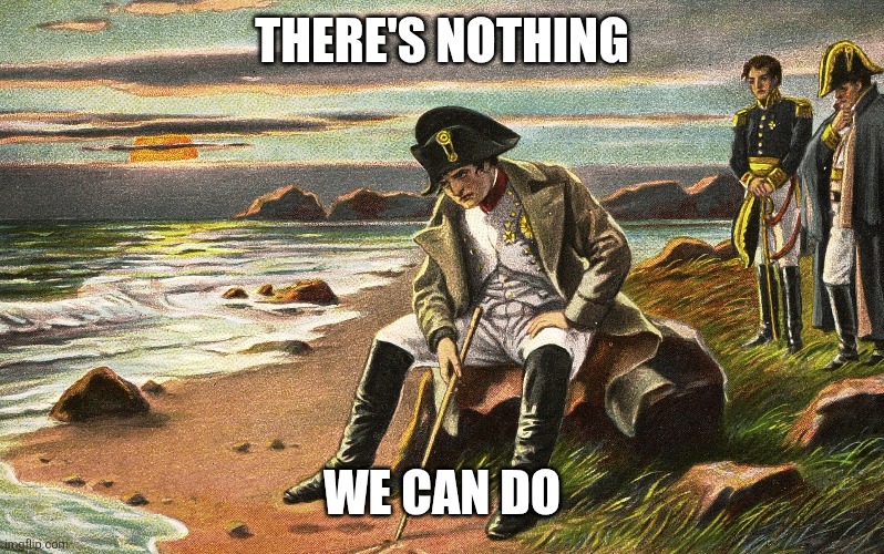 Napoleon | There's nothing We can do | image tagged in napoleon | made w/ Imgflip meme maker