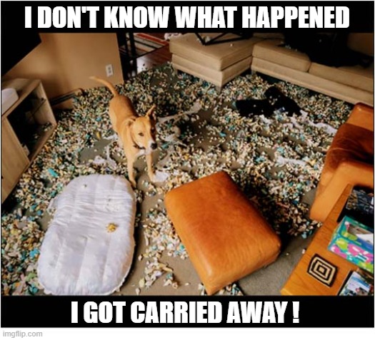 Once The Ripping Started ... | I don't know what happened; I Got Carried Away ! | image tagged in dog,dog bed,destruction | made w/ Imgflip meme maker