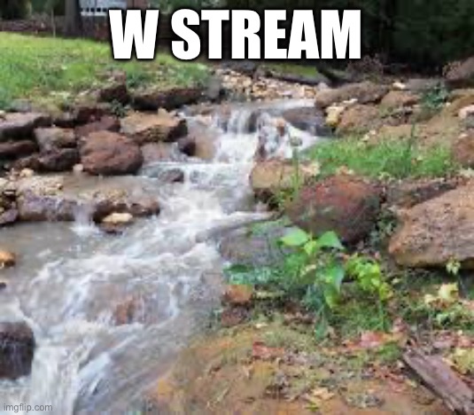 Yooo w stream chat | W stream | image tagged in fun stream,oh wow are you actually reading these tags,water | made w/ Imgflip meme maker