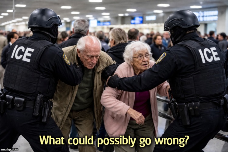 Sending ICE to the airports when they should be sent to Iran | What could possibly go wrong? | image tagged in sending ice to the airports when they should be sent to iran,trump,ice,tsa,tsa douche,bad idea | made w/ Imgflip meme maker