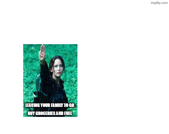 Hunger Games 2026 version | Leaving your family to go; buy groceries and fuel | image tagged in make your own meme | made w/ Imgflip meme maker