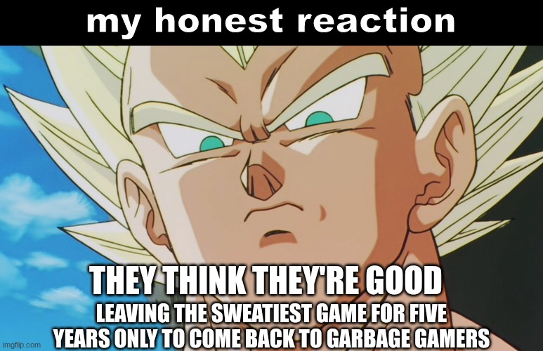I'm dissapointed | they think they're good; Leaving the sweatiest game for five years only to come back to garbage gamers | image tagged in vegeta my honest reaction | made w/ Imgflip meme maker
