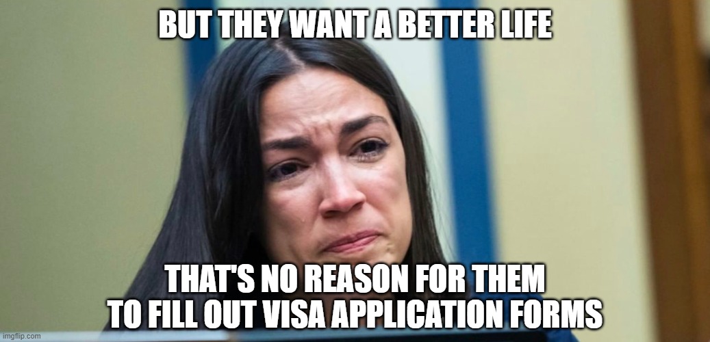 AOC | but they want a better life that's no reason for them to fill out visa application forms | image tagged in aoc | made w/ Imgflip meme maker