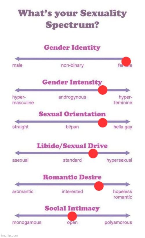 I did this stupid fuckass template, are y'all proud of me? | image tagged in what's your sexuality spectrum | made w/ Imgflip meme maker