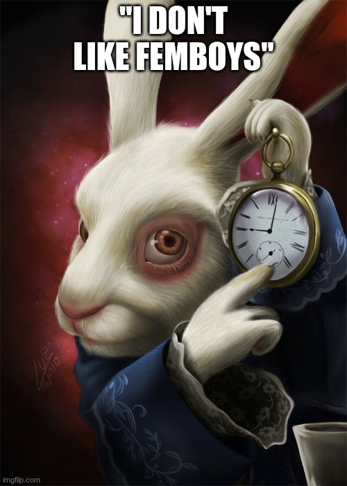 White Rabbit Pointing at a Clock | "I don't like femboys" | image tagged in white rabbit pointing at a clock | made w/ Imgflip meme maker