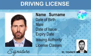 Dummy licese template Blank Meme Template