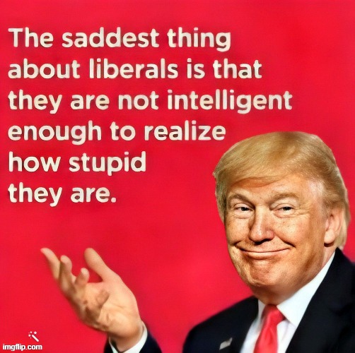 The saddest thing about liberals? They do not realize how stupid they are!!! | image tagged in sam elliott special kind of stupid,stupid liberals | made w/ Imgflip meme maker