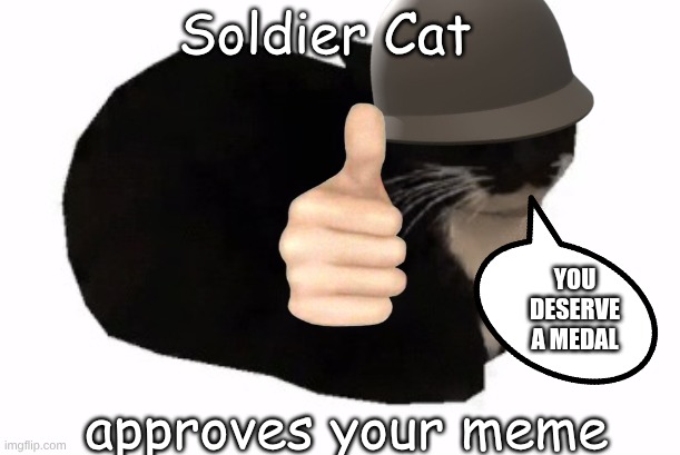 Soldier Cat approves your meme you deserve a medal | image tagged in maxwell the cat | made w/ Imgflip meme maker