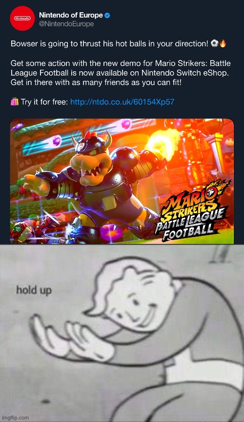 Bowser is going to thrust his hot WHAT | image tagged in memes,fallout hold up,funny,wtf,balls,bowser | made w/ Imgflip meme maker