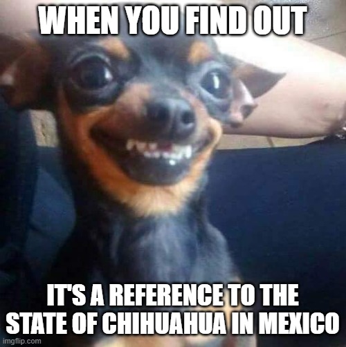 Happy Chihuahua | when you find out it's a reference to the state of Chihuahua in mexico | image tagged in happy chihuahua | made w/ Imgflip meme maker