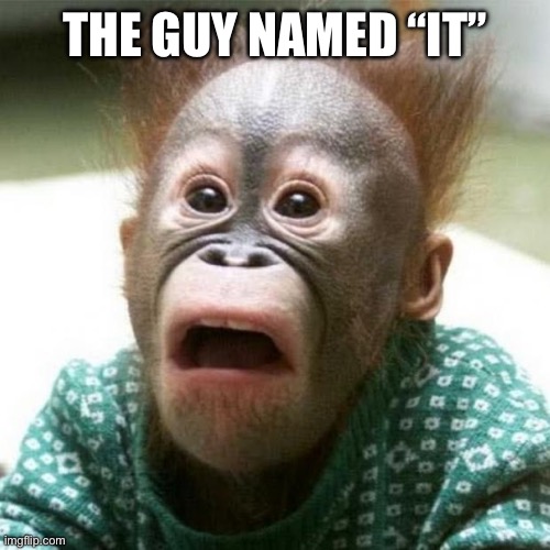 Shocked Monkey | The guy named “It” | image tagged in shocked monkey | made w/ Imgflip meme maker