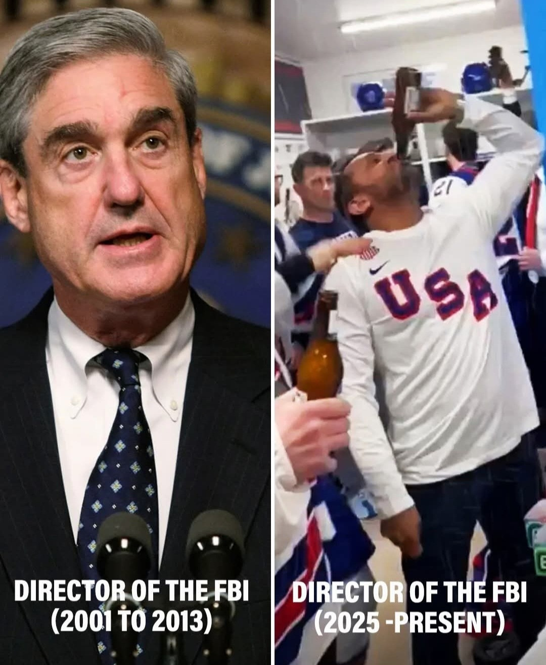 Robert Mueller and Kash Patel - See the Difference? Blank Meme Template