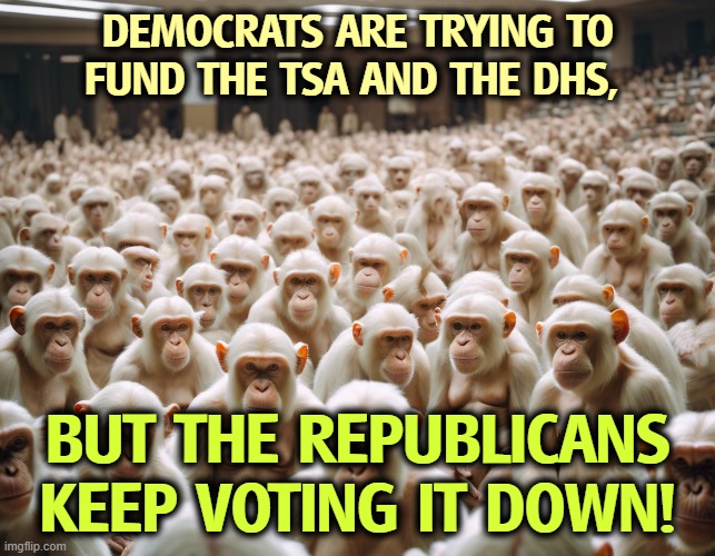 Republicans have voted funding down seven times. | Democrats are trying to fund the TSA and the DHS, but the Republicans keep voting it down! | image tagged in congress,ice,tsa,dhs,democrats,republicans | made w/ Imgflip meme maker