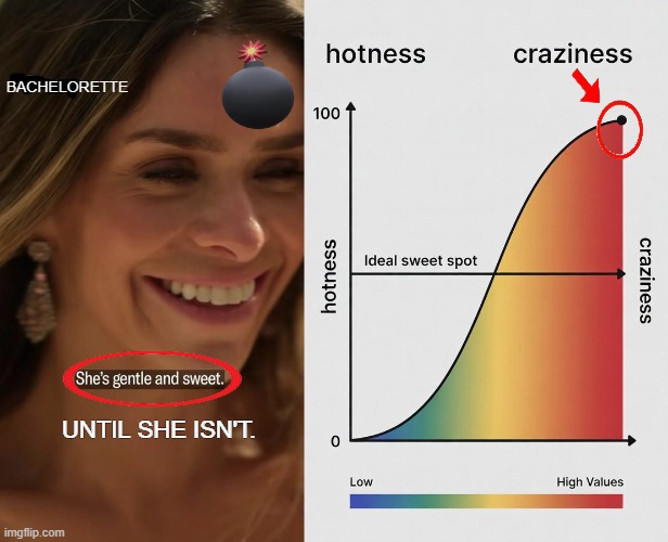 Hot or Not? | Bachelorette; Until she isn't. | image tagged in fun fact,it is time to go,breaking bad,show cancelled due to bad behavior,fun,not fun | made w/ Imgflip meme maker